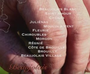 Une année dans les vignes