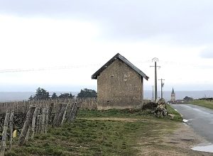 La cadole (histoire drôle)