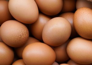 Conservation des œufs dans du silicate de soude