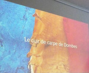Cuir de carpe de la Dombes